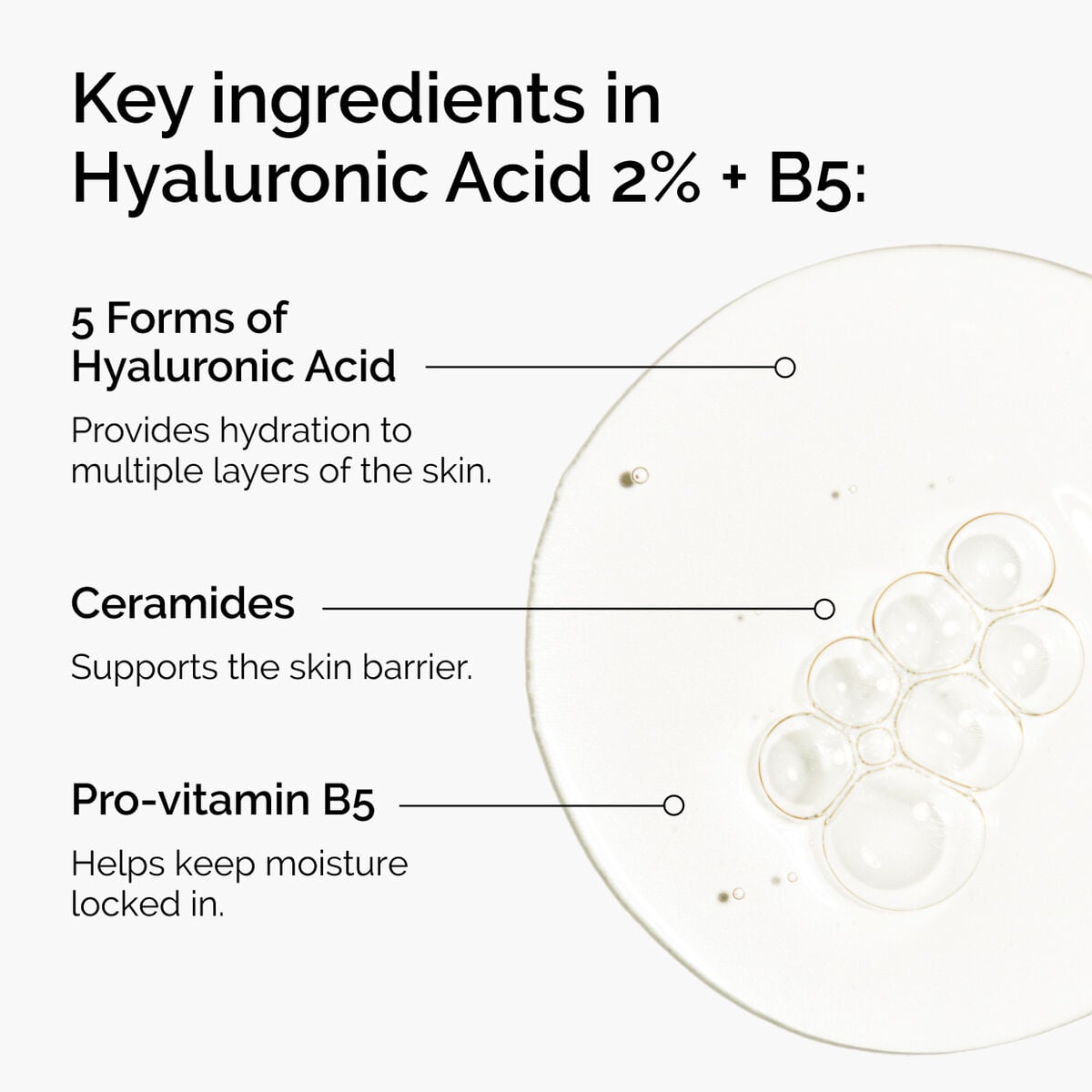 hyaluronic-acid-2-b5-with-ceramides-c8 ord-hyaluronic-acid-2pct-b5-hydrating-serum-ingredients-graphic.jpg