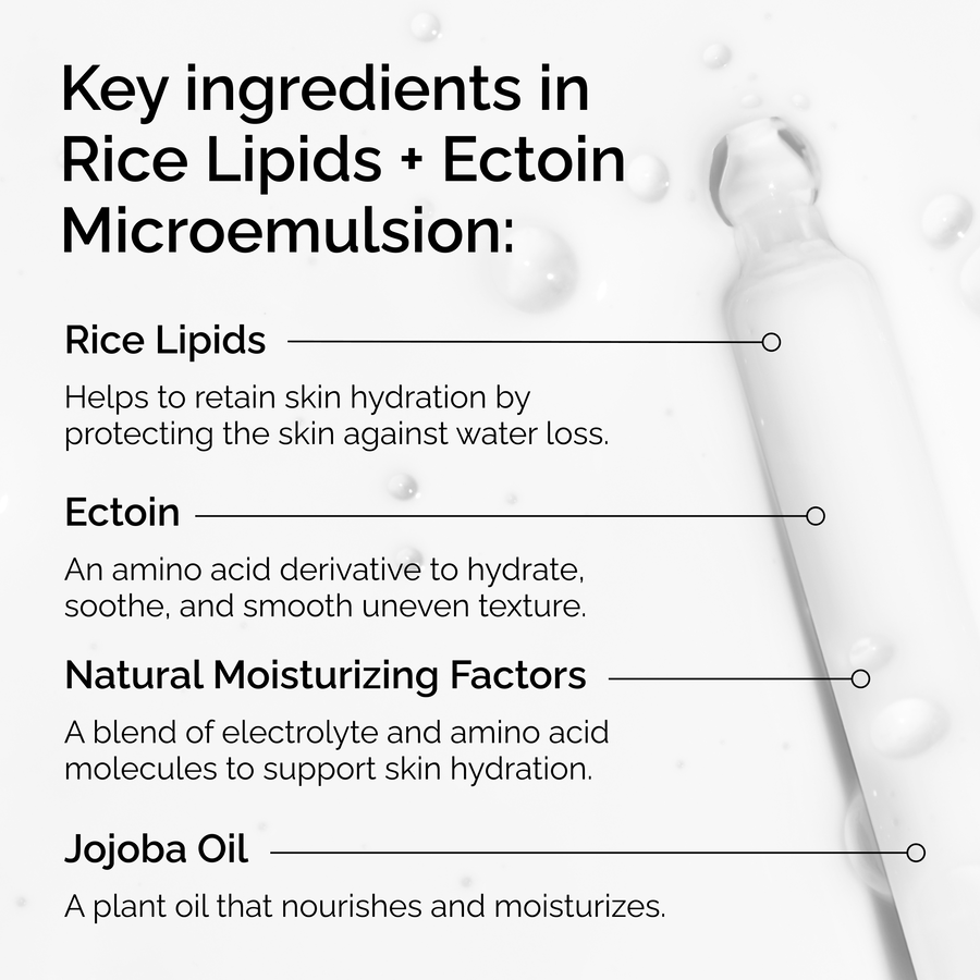 rice-lipids-ectoin-microemulsion-i5 ord-rice-lipids-ectoin-microemulsion-key-ingredients.png