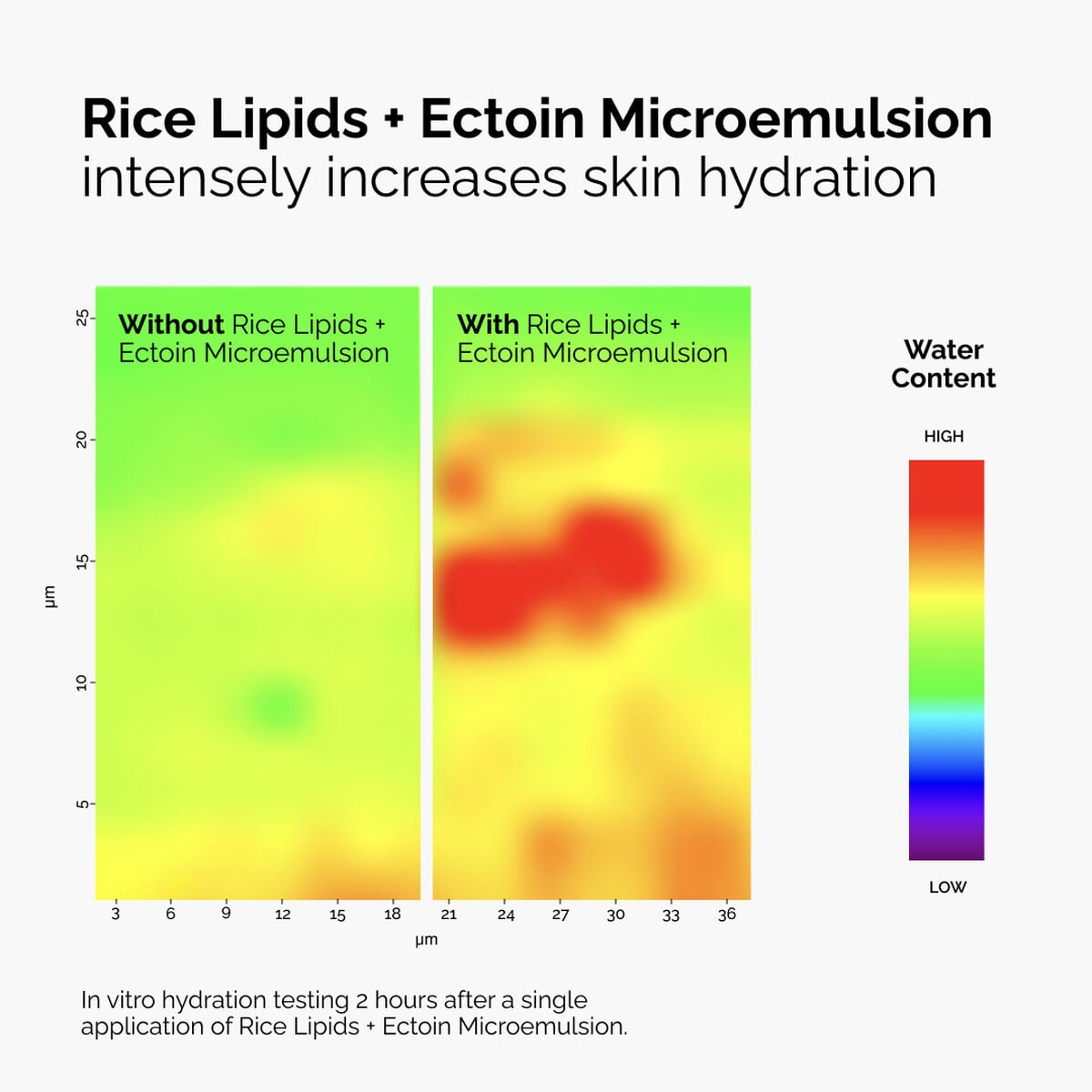 rice-lipids-ectoin-microemulsion-i5 ord-rice-lipids-ectoin-microemulsion-thermal-before-after.jpg